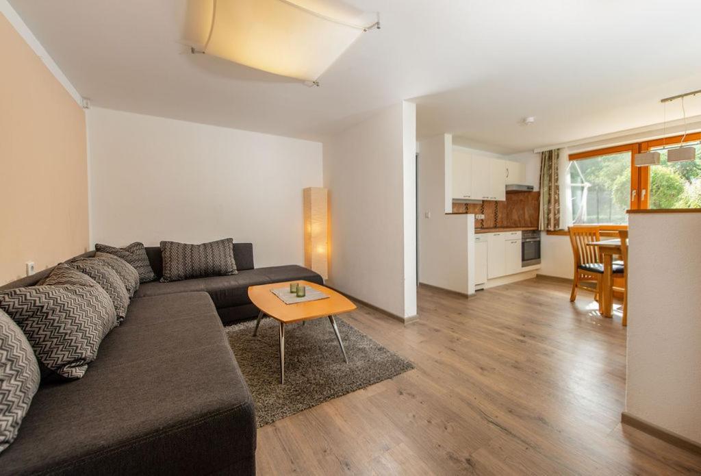 Appartements-Pension Lindenheim Schladming Εξωτερικό φωτογραφία